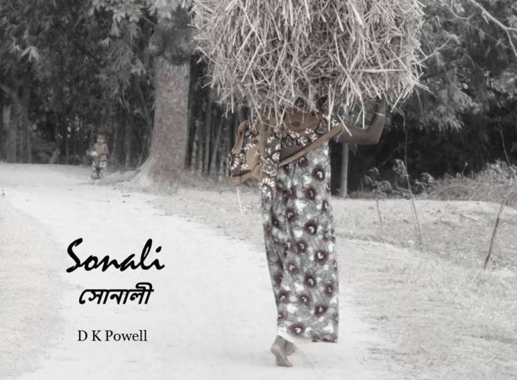 sonali-by-ken-powell-2016-bilingual-version-cover-1